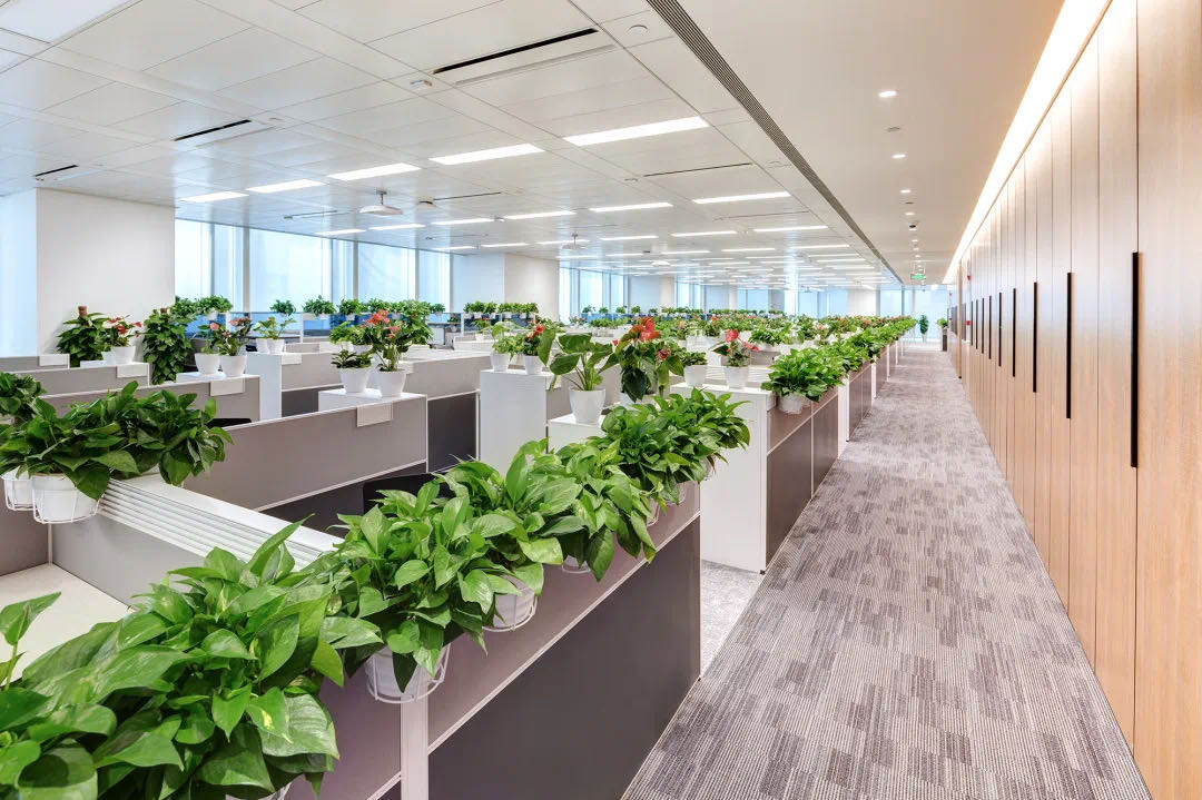 上海瑞欣裝飾材料有限公司